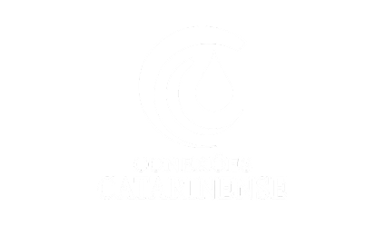 Conexões Catarinense